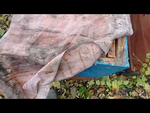 Видео: 8 рамочный улей.Сила семей в зиму