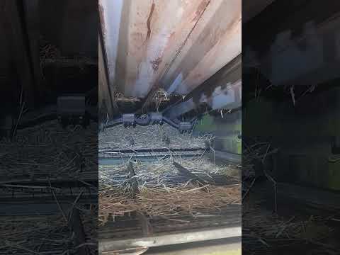 Видео: Вал соломотряса Клаас Консул Class Consul Ч.2