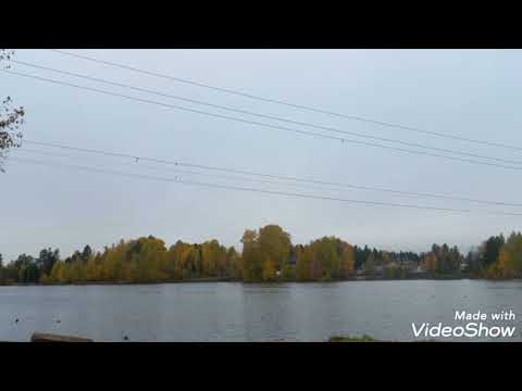 Видео: Проповедь иеромонаха Мефодия (Зинковского). Любовь покрывает множество грехов