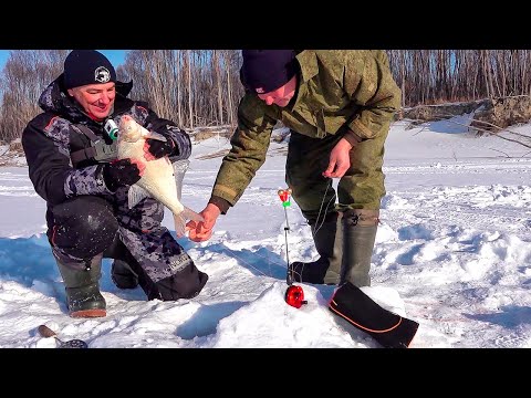 Видео: ТАКИЕ ЛОПАТЫ МНЕ БУДУТ СНИТЬСЯ! Крупный лещ на комбайны. Рыбалка с ночёвкой