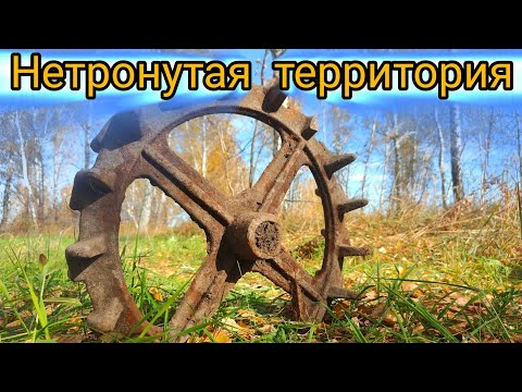 Видео: НЕТРОНУТАЯ ТЕРРИТОРИЯ.ПОИСК МЕТАЛЛА НА МТФ