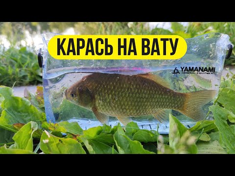 Видео: #мормышинг | Ловля карася на вату |
