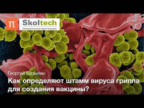Видео: Устойчивость вирусов — Георгий Базыкин