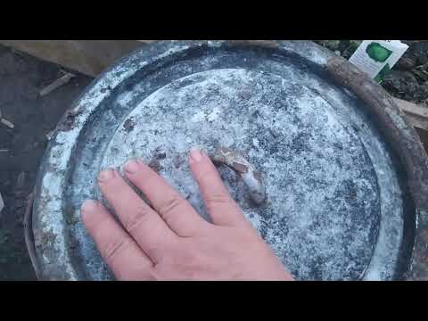 Видео: Самое дешëвое отопление для теплиц/горячая пора в деревне/деревенская жизнь.