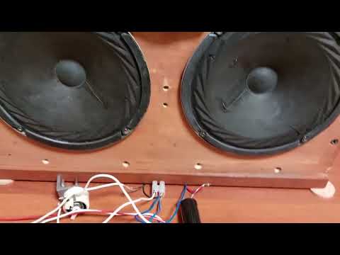 Видео: 13 динамиков в АС