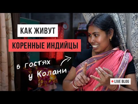 Видео: VLOG 31. Индия: как живут коренные индийцы / Маяпур / Аскеза в кедах