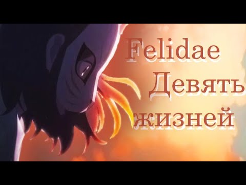 Видео: Felidae -  Девять жизней (AMV)#59