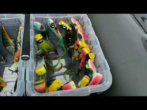 Видео: Джерки и их анимация