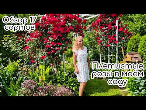 Видео: Плетистые розы в прекрасном саду...17 сортов роз для пергол