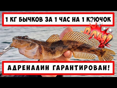 Видео: Бычок-кнут на спиннинг. Черноморский бычок как ловить. Снасть на морского бычка. Приманка на бычка.