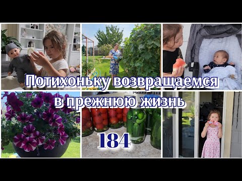 Видео: ЖИЗНЬ В США●ОГОРОД●#184
