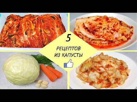 Видео: КАК ПРИГОТОВИТЬ КАПУСТУ - 5 простых рецептов ❗ Готовим Вкусную Капусту - легко и доступно!