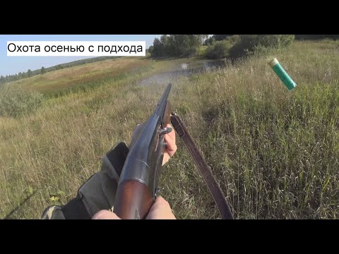 Видео: Охота на утку осенью с подхода 2023