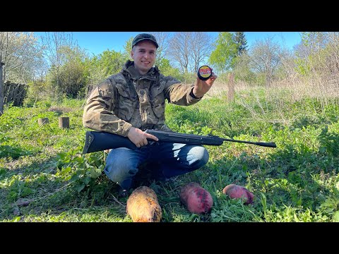 Видео: Шершень 0,68 тест Хатсан 125 Чайка 11 ПСРМ 2-55