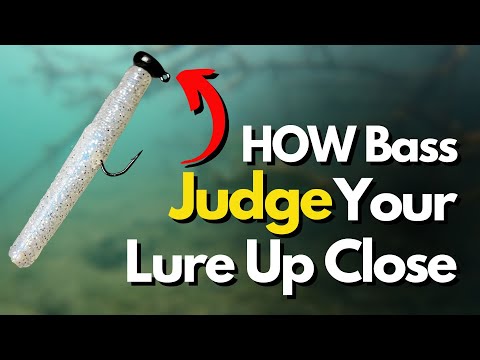 Видео: Подводные кадры о том, ПОЧЕМУ ловля рыбы Finesse Fishing эффективна (научное обоснование)