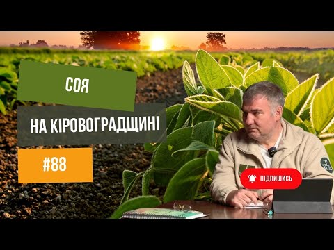 Видео: #88 Соя 🌱 на Кіровоградщині. Три різні поля. Початок 🔥