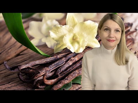 Видео: Ванільні парфуми - смачні та чуттєві 🍨🌸  Vanilla fragrances