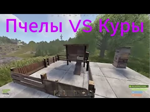 Видео: КУРЫ vs ПЧЁЛЫ: кто даст БОЛЬШЕ ресурсов?