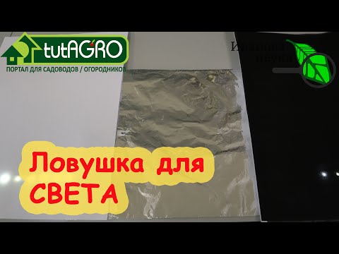 Видео: КАК СЭКОНОМИТЬ НА ПОДСВЕТКЕ РАССАДЫ? Не сеять рано и... СЛОВИТЬ СВЕТ! Лучшие отражатели света.