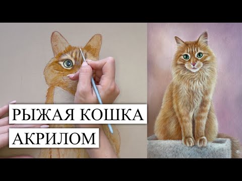 Видео: РЫЖАЯ КОШКА АКРИЛОМ