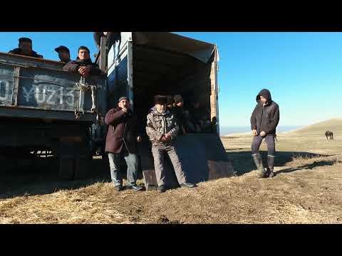 Видео: Атбұлақ ауылы 1988 жылғылардың көкпары