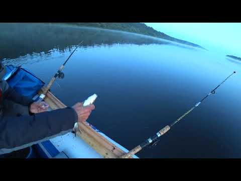 Видео: Рыбалка ночью и днем на фарватере. Рыбалка на бортовые удочки