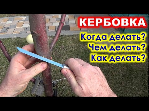 Видео: КЕРБОВКА. Когда делать кербовку? ЧЕМ делать КЕРБОВКУ? Как делать кербовку?