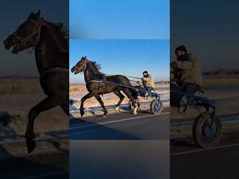 Видео: Ваня пласто