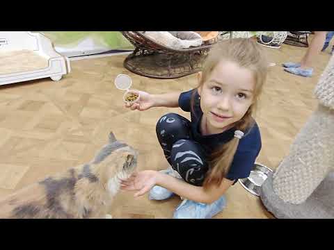 Видео: Эмилия в  Кота деревне.