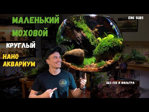 Видео: МОХОВОЙ КРУГЛЫЙ НАНО АКВАРИУМ | NANO MOSS BOWL AQUARIUM | TUTORIAL