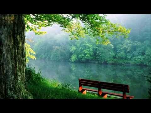 Видео: Випассана. День 8. Лекции С. Н. Гоенка / S. N. Goenka