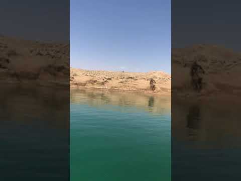 Видео: 03.06.2021 Крепость