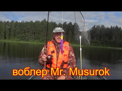 Видео: Второй день на новом месте Верхней Волги. Воблер радует поклевками.
