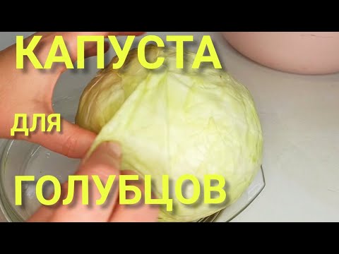 Видео: Как приготовить КАПУСТУ ДЛЯ ГОЛУБЦОВ в микроволновке? Капуста для голубцов БЕЗ ВОДЫ!!!