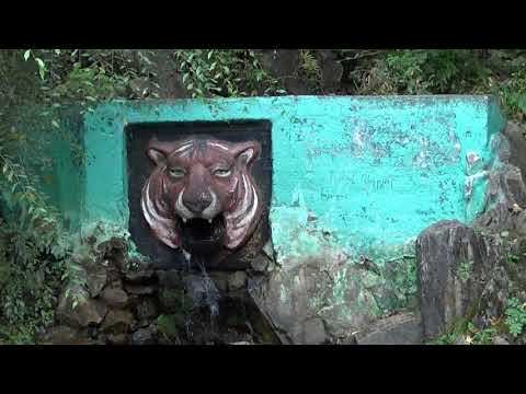 Видео: Приморский край, село Анучино, сентябрь 2021 г.