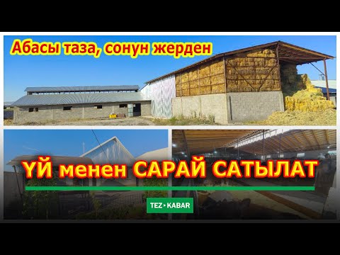 Видео: ТЕЗ АРАДА! ҮЙ менен САРАЙ САТЫЛАТ  |  Бардык ШАРТТЫ түзүп коюптур  |  Алган адам ЖЫРГАЙТГО