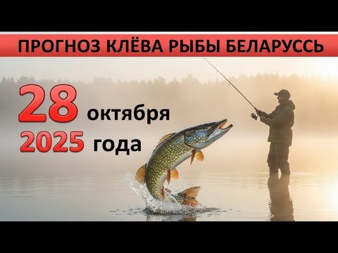Видео: ПРОГНОЗ КЛЁВА в Беларуси на 28 октября 2025 года: Бросай все и на рыбалку!