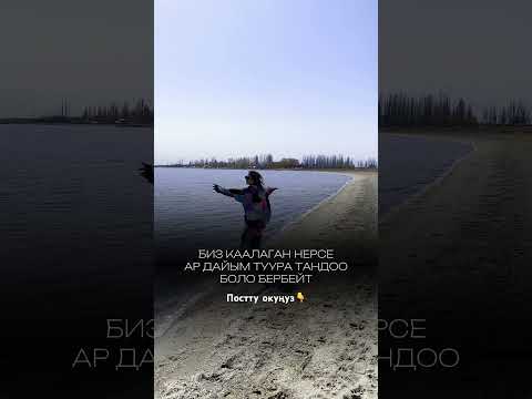 Видео: 18 мая 2024 г.