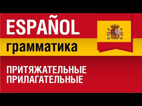 Видео: Притяжательные прилагательные в испанском языке. Adjetivos posesivos. Елена Шипилова