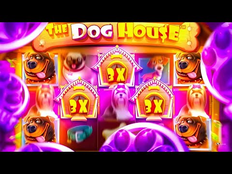 Видео: ЗАНОС С 1 БОНУСКИ В DOG HOUSE КУПИЛ 10 БОНУСОК ЗАНОСЫ НЕДЕЛИ