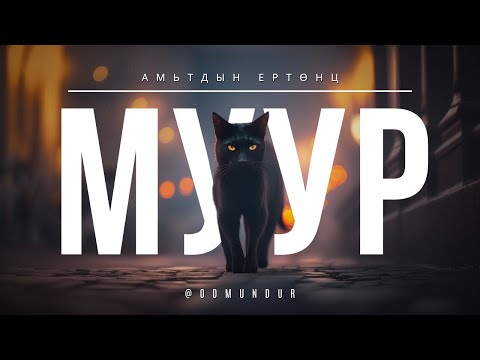 Видео: Муур - АМЬТДЫН ЕРТӨНЦ