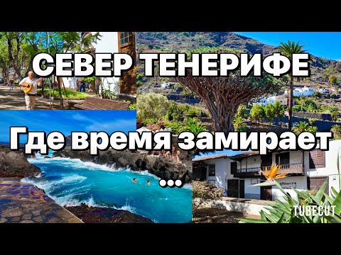 Видео: Север Тенерифе за 1 день 🌋 Икод-де-лос-Винос и Гарачико — маршрут, который влюбляет!