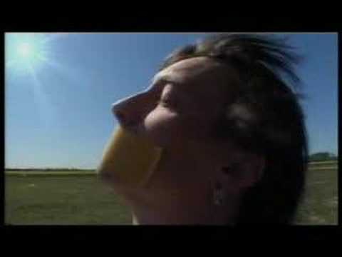 Видео: Tav.Mauzer - Беларусь будзе вольнай!