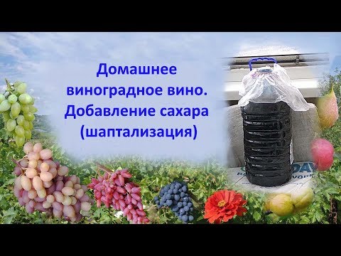 Видео: @Домашнее виноградное вино  Добавление сахара (шаптализация)