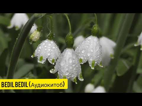 Видео: ЯТИМ (Повест)-Қисми 3