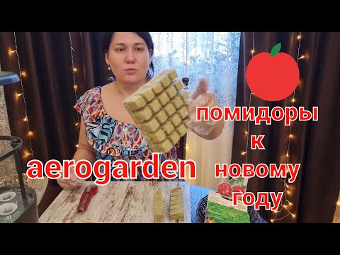 Видео: Помидоры к новому году в Aerogarden. Спонжики из минеральной ваты