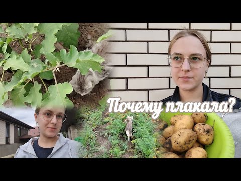 Видео: VLOG Почему плакала?🥺 Семён играет с баклажанами🍆
