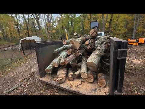 Видео: Я не хотел от них избавляться, но мне пришлось...