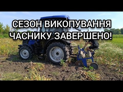 Видео: Сезон выкапывания ЧЕСНОКА ЗАВЕРШЕН! Результаты и последующие работы.