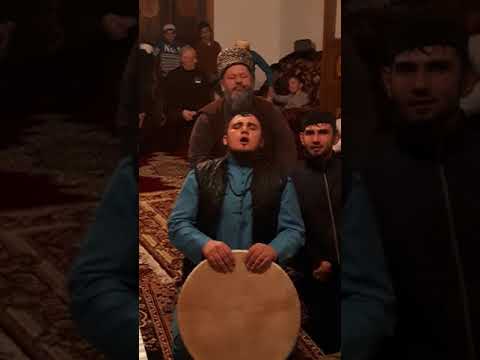 Видео: Майртуп жирг1а зуькар